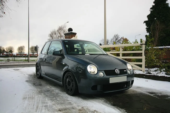 lupo1.webp