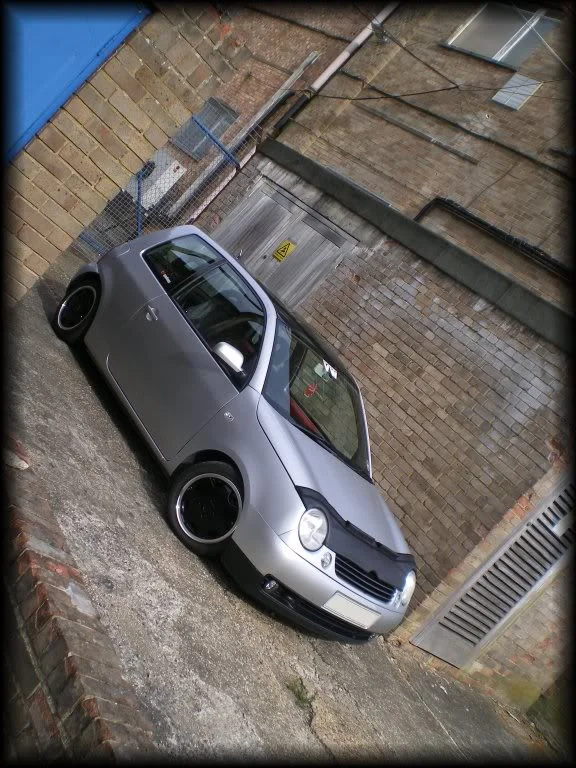 Lupo2.webp