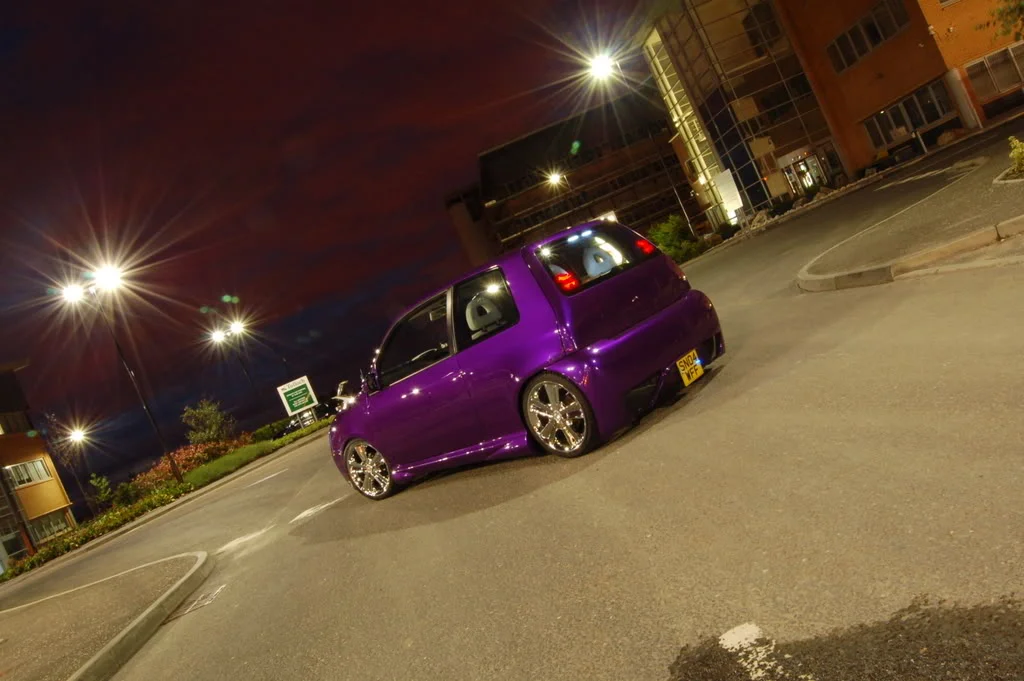 Lupo28.webp