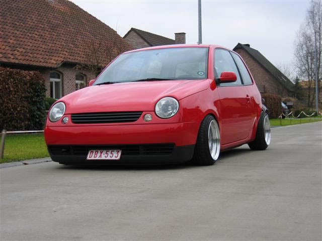 lupolow7.jpg