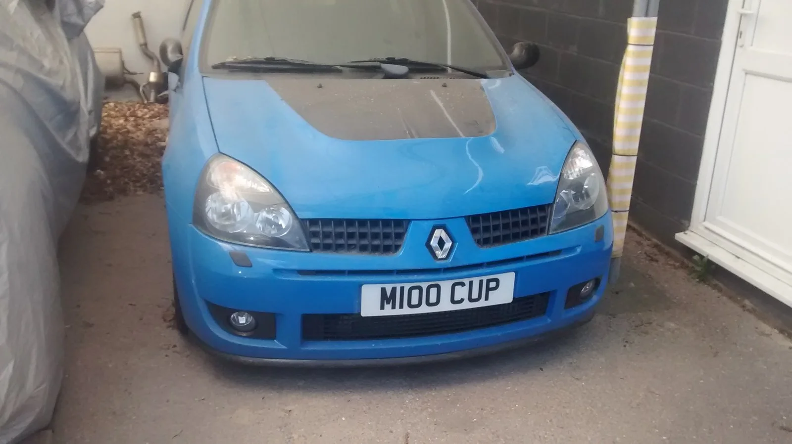 M100Cup.webp