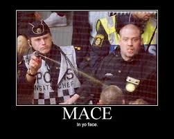 mace.webp