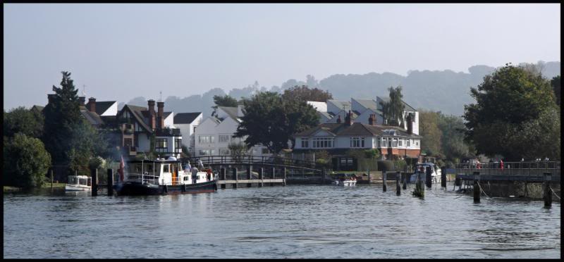 marlowswan10.jpg marlowswan10.jpg