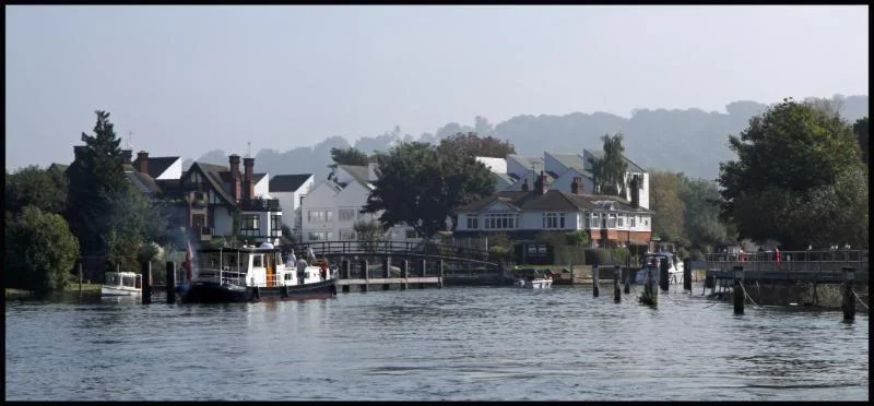 marlowswan10.webp