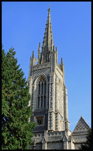 marlowswan15.jpg marlowswan15.jpg