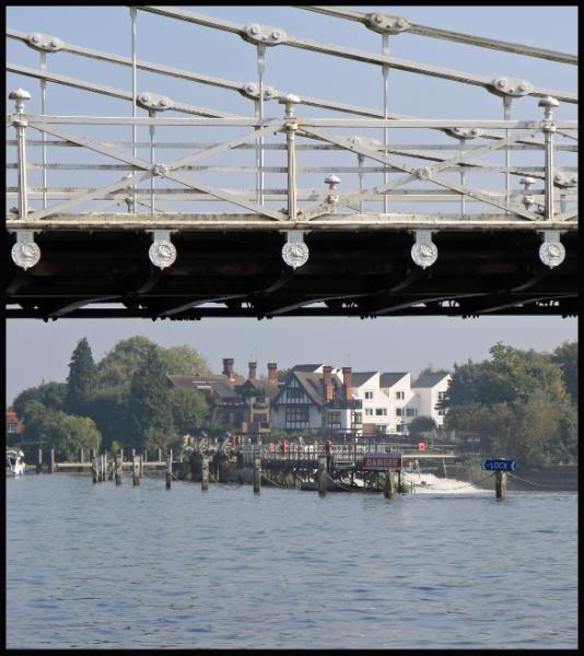 marlowswan18.jpg marlowswan18.jpg