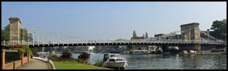 marlowswan19.webp
