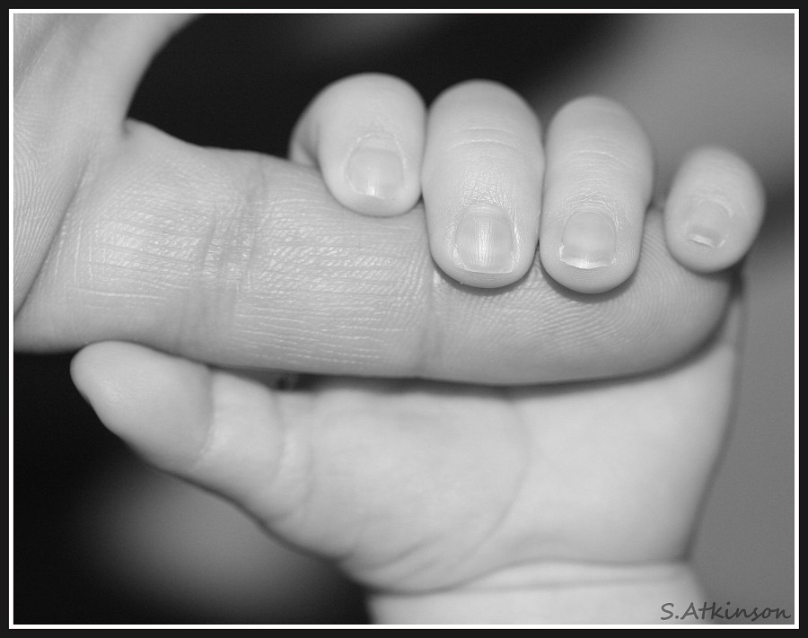 Mason_grabbing_finger-vi.jpg Mason_grabbing_finger-vi.jpg