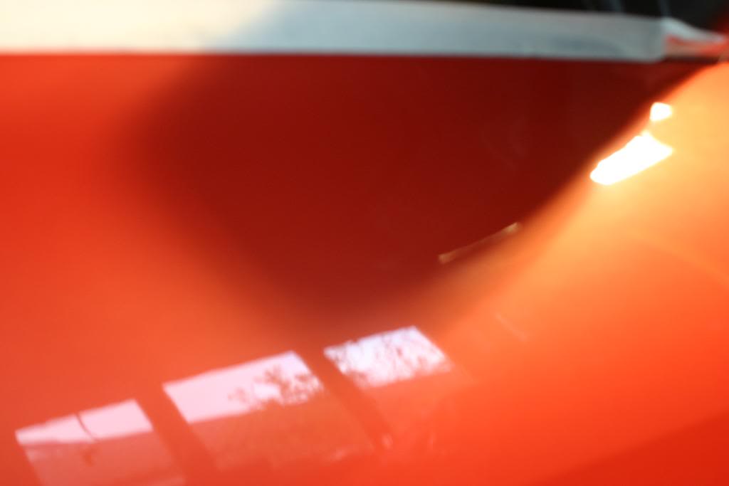Megane225Detail024.jpg