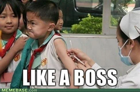 memes-like-a-boss2.webp