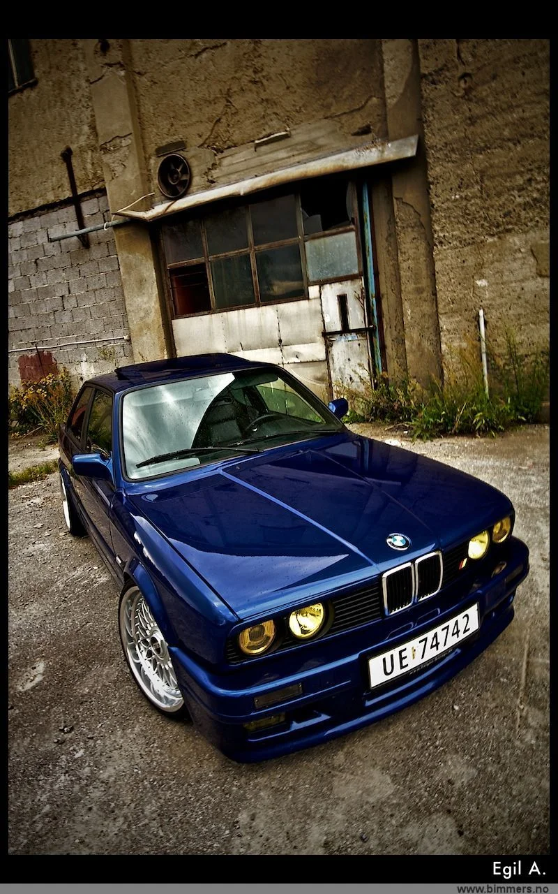 mfqdriqna15qx3cogz9m.webp