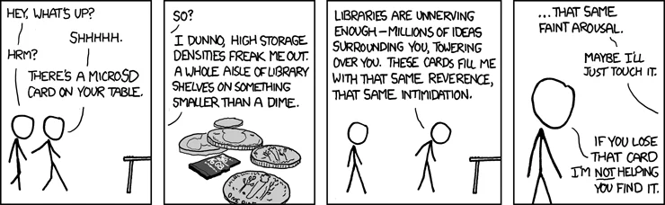 microsd.webp