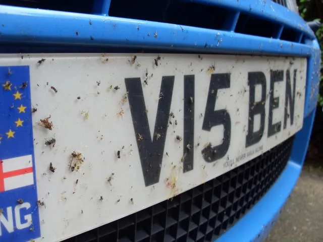 Midges1.webp