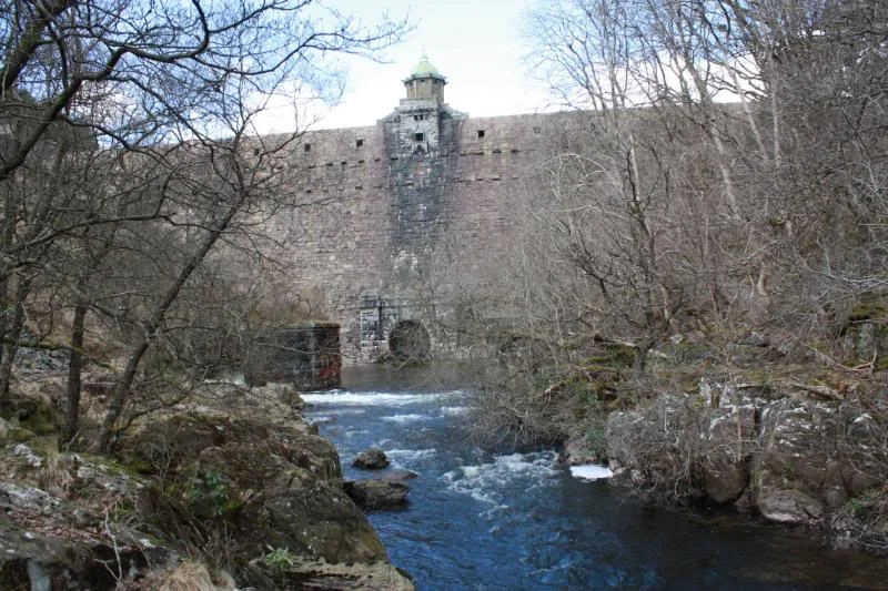 MidWales038.webp