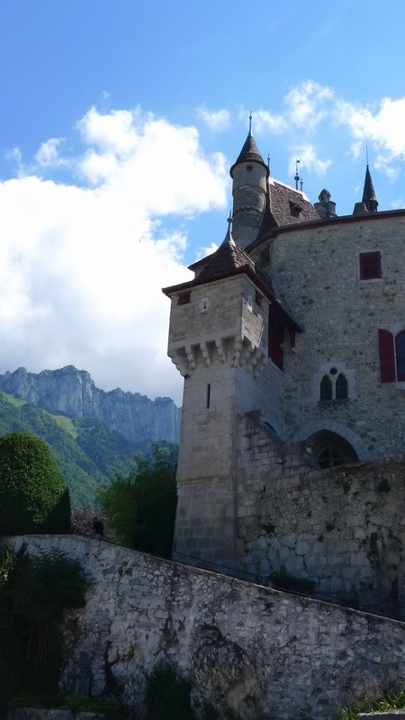 mini-P1050368-Copy2.jpg mini-P1050368-Copy2.jpg