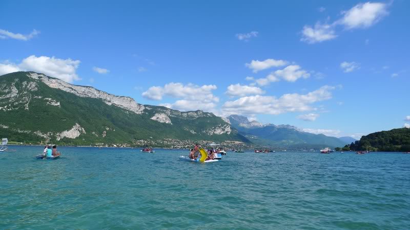 mini-P1050384.jpg mini-P1050384.jpg