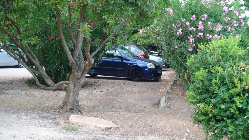 mini-P1050464-Copy.jpg mini-P1050464-Copy.jpg