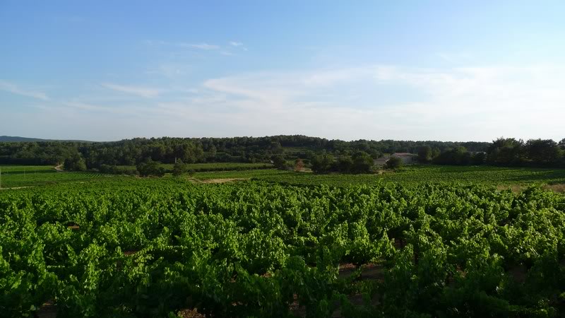 mini-P1050469.jpg mini-P1050469.jpg