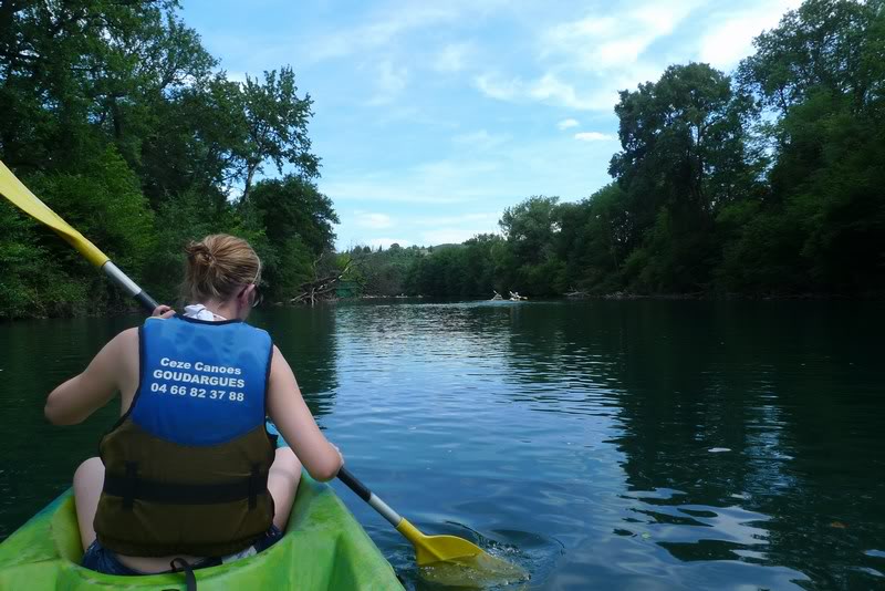 mini-P1050514.jpg mini-P1050514.jpg