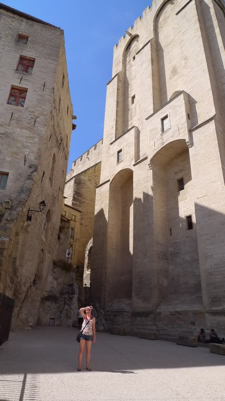 mini-P1050686.jpg mini-P1050686.jpg