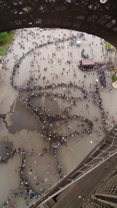 mini-P1050751.jpg mini-P1050751.jpg