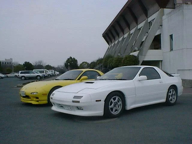 mito_fc_fd.webp