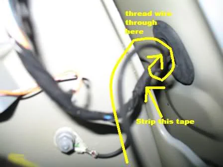 mltdp4.webp