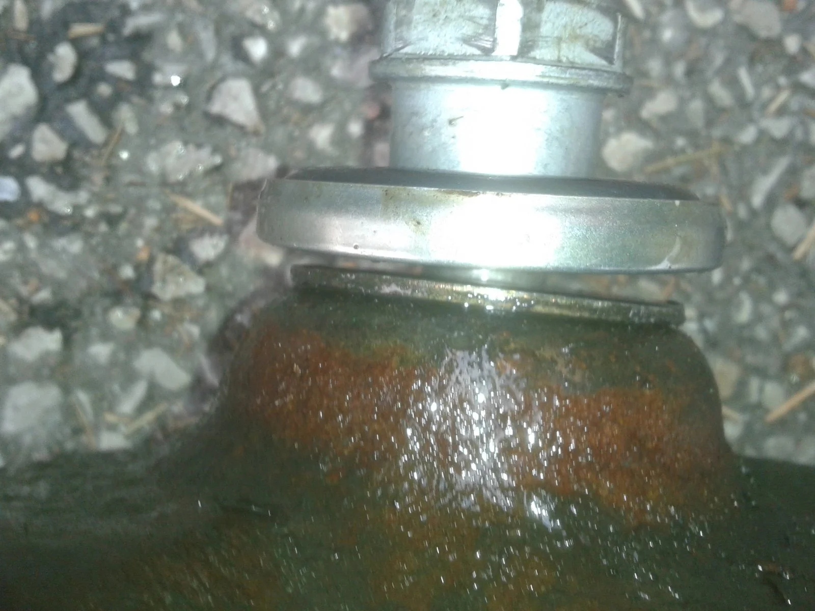 MODIFIED NUT 2014-10-05 15.49.22.webp
