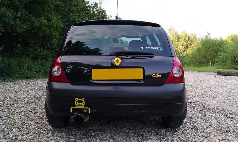 ModifiedYellowBack.webp