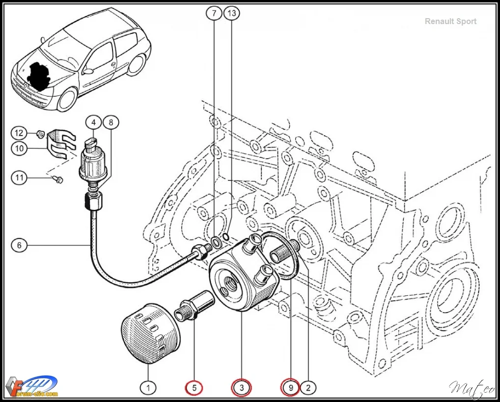 modine_cup%20%281%29.webp