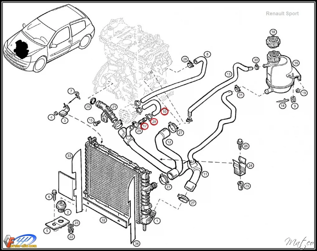 modine_cup%20%282%29.webp