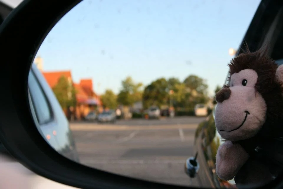 monkey_zps8cb0d305.webp