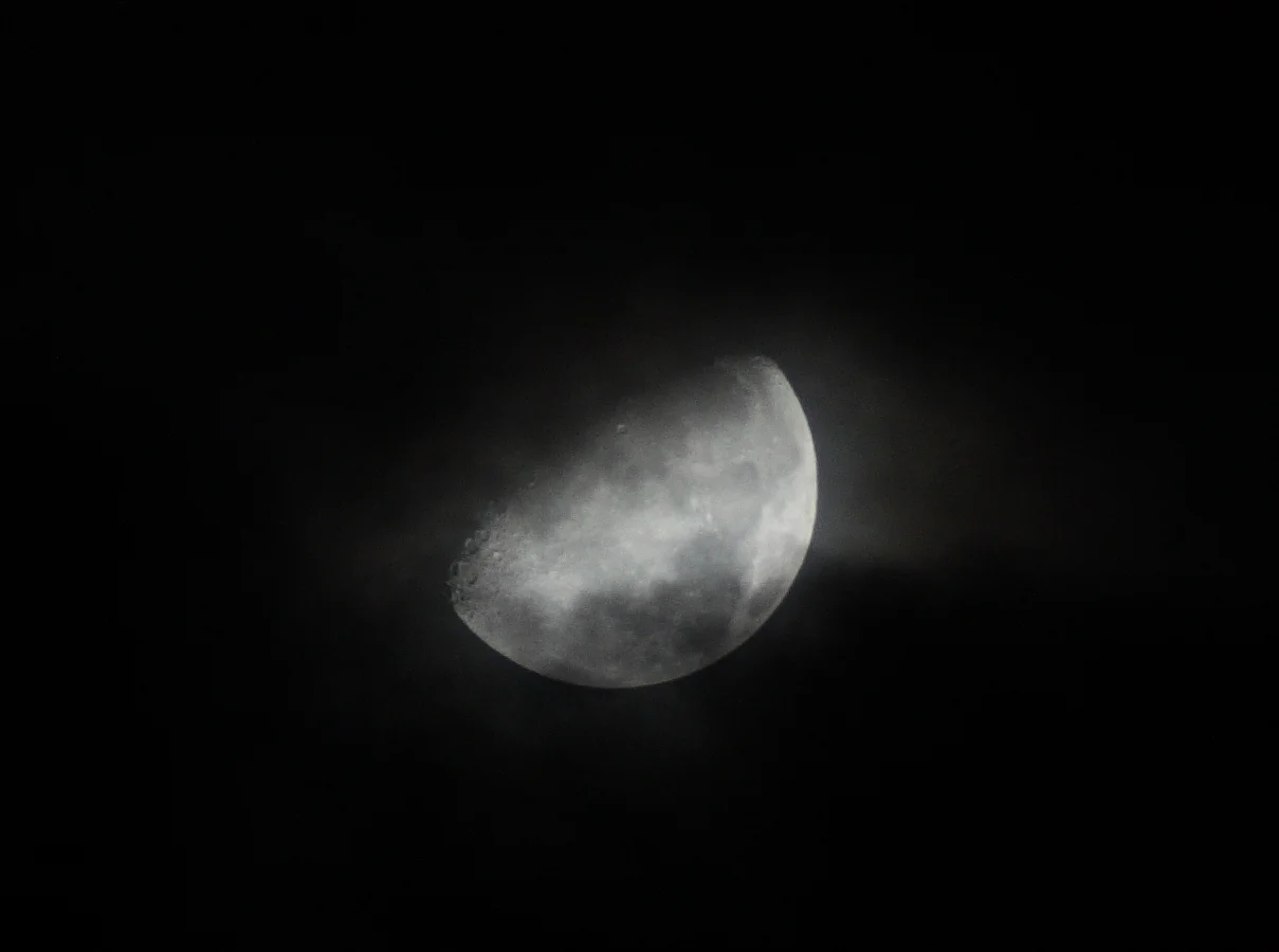 moon.webp