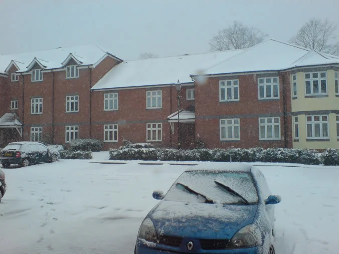 moresnow.webp