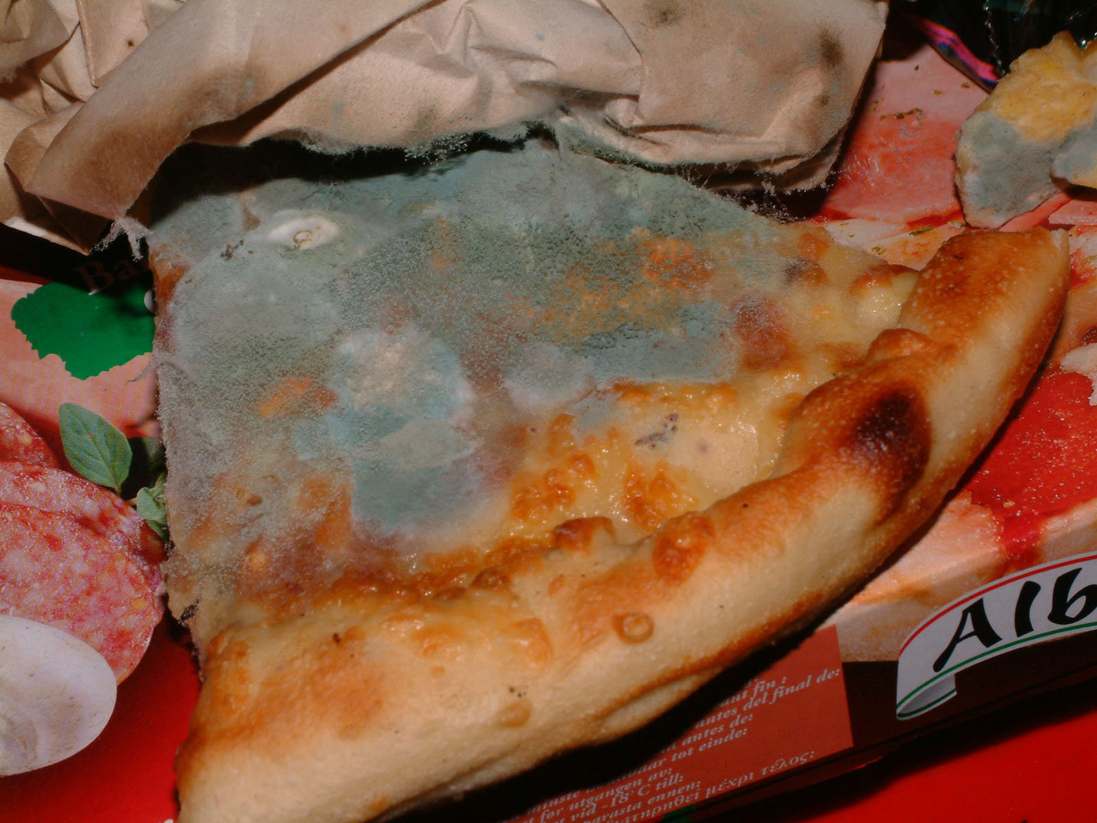 Mouldy_Pizza_-_Student_Style.jpg