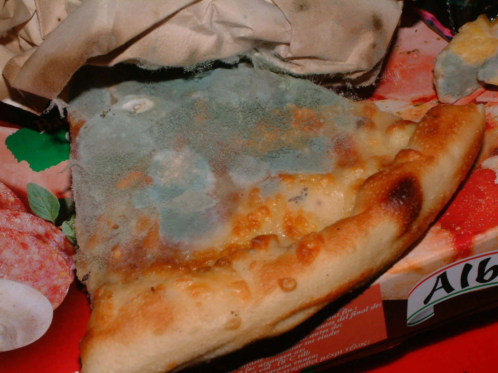 Mouldy_Pizza_-_Student_Style.webp