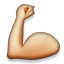 muscle.png