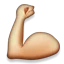 muscle.webp