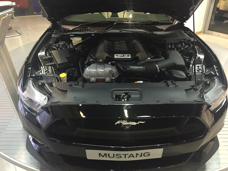Mustang%2001.webp