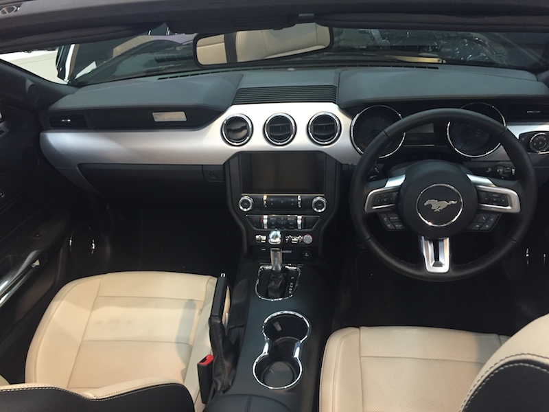 Mustang%20011.jpg