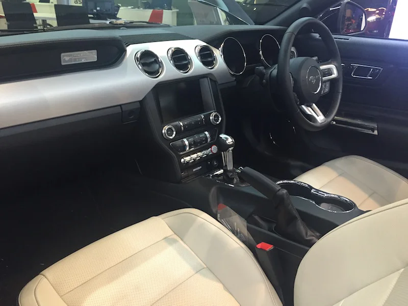Mustang%20012.webp