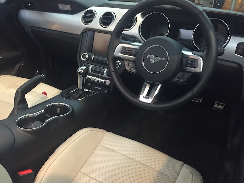 Mustang%20013.jpg