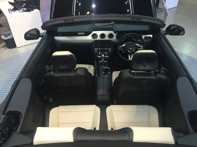 Mustang%20014.jpg