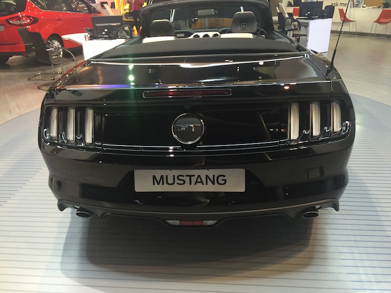 Mustang%2002.jpg