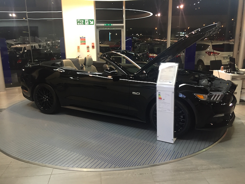 Mustang%2003.jpg