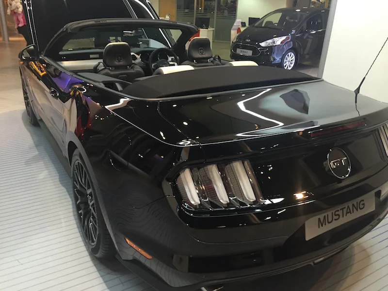 Mustang%2004.webp