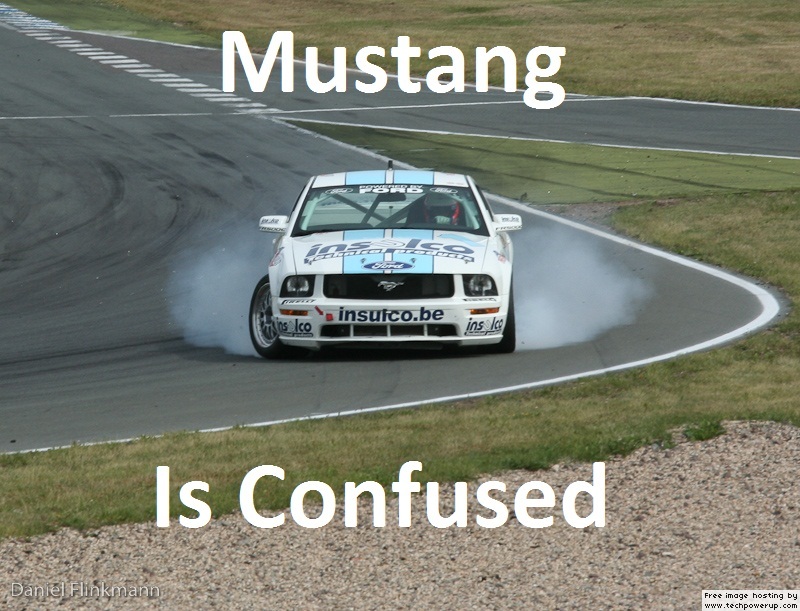 mustang%20confused.jpg