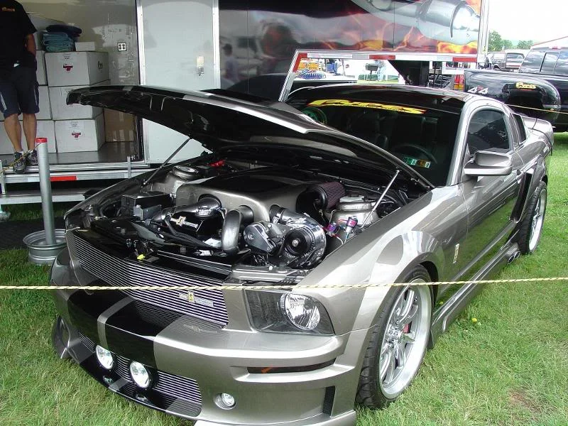 mustang.webp