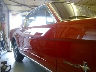 mustang1.webp