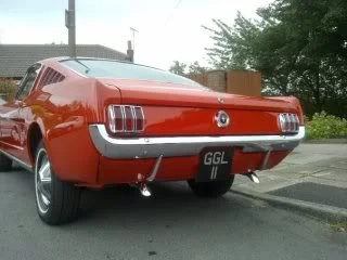mustang3.webp